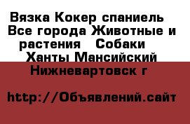 Вязка Кокер спаниель - Все города Животные и растения » Собаки   . Ханты-Мансийский,Нижневартовск г.